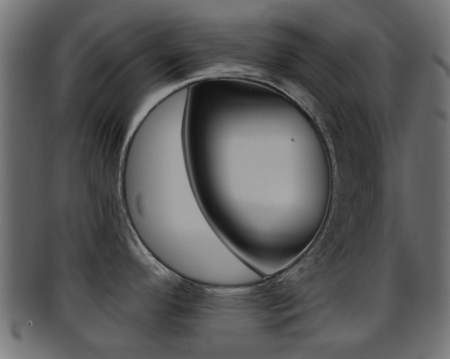 X0000095691296200801081030