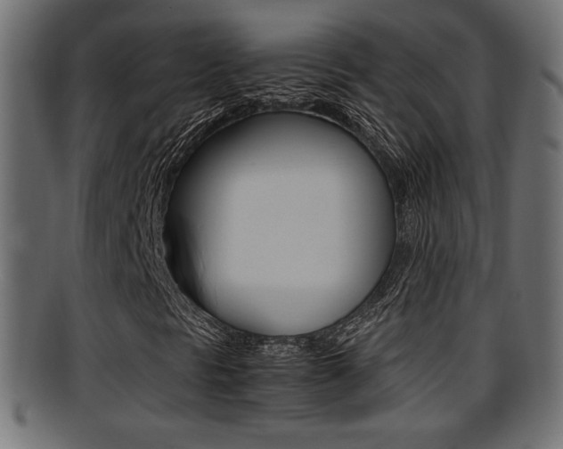 X0000095691297200801081030