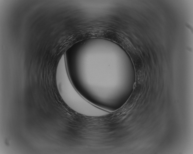 X0000095691298200801081030