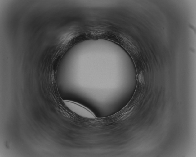 X0000095691299200801081030