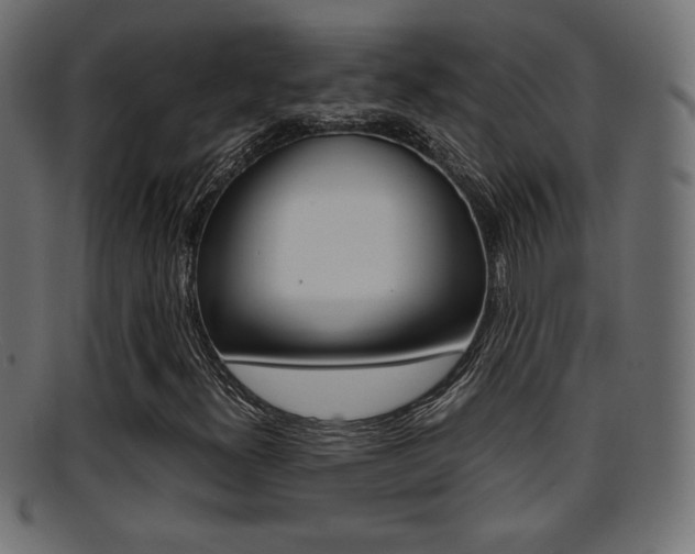 X0000095691300200801081030