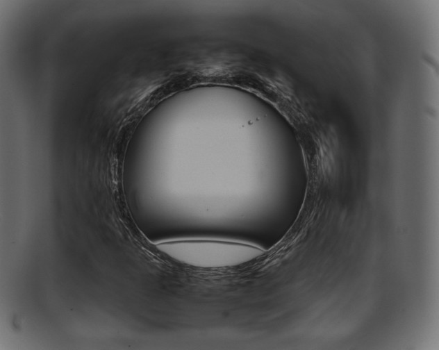 X0000095691301200801081030