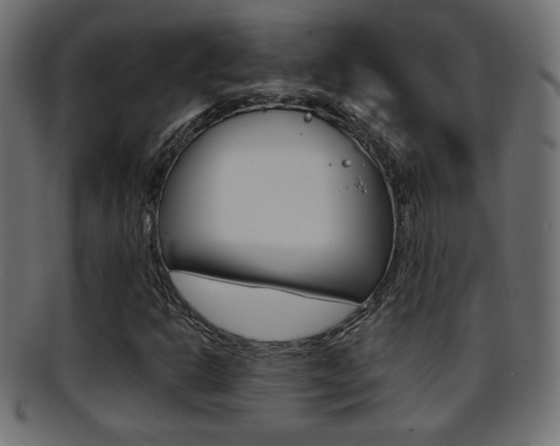 X0000095691302200801081030