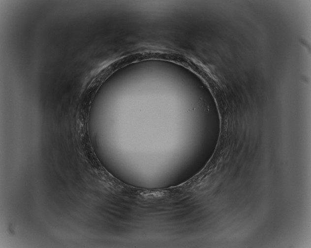 X0000095691303200801081030