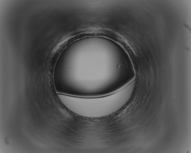X0000095691304200801081030