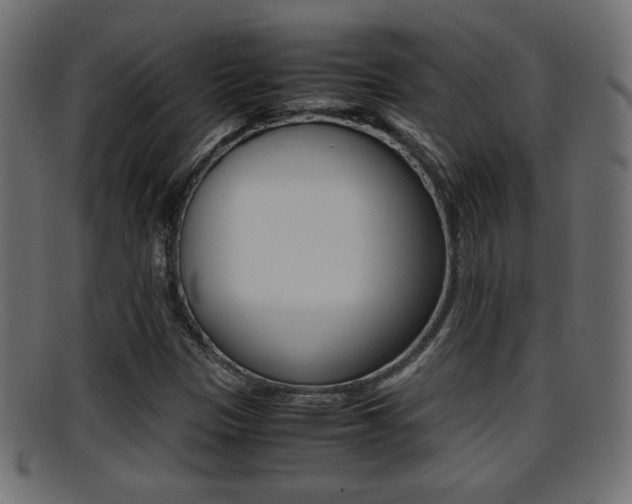 X0000095691305200801081030