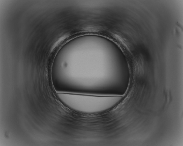 X0000095691307200801081030