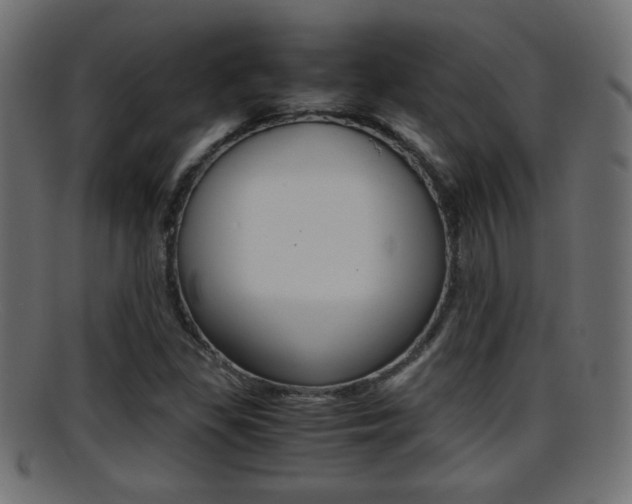 X0000095691309200801081030