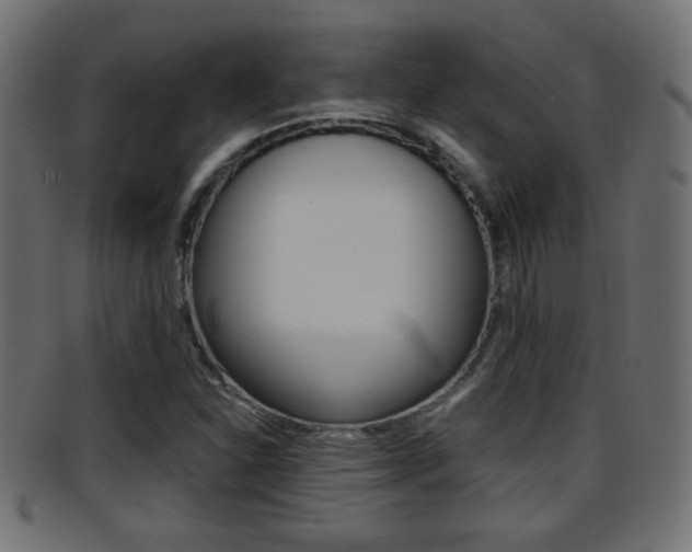 X0000095691310200801081030