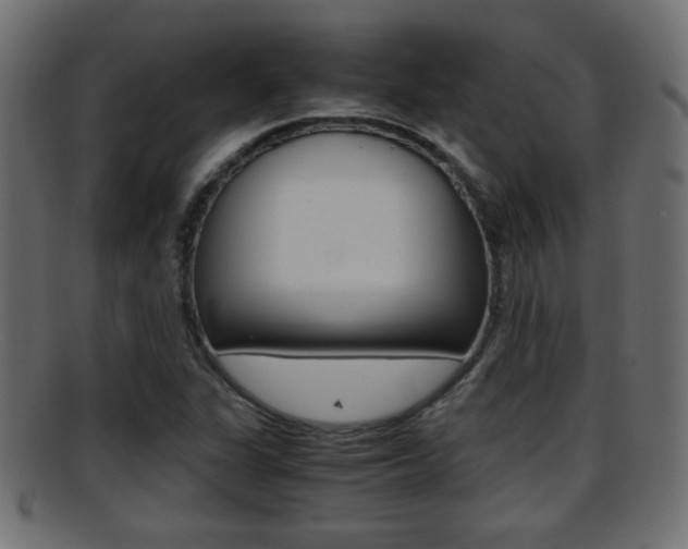X0000095691311200801081030