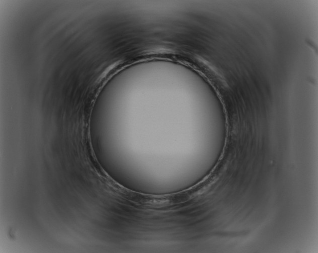 X0000095691313200801081030