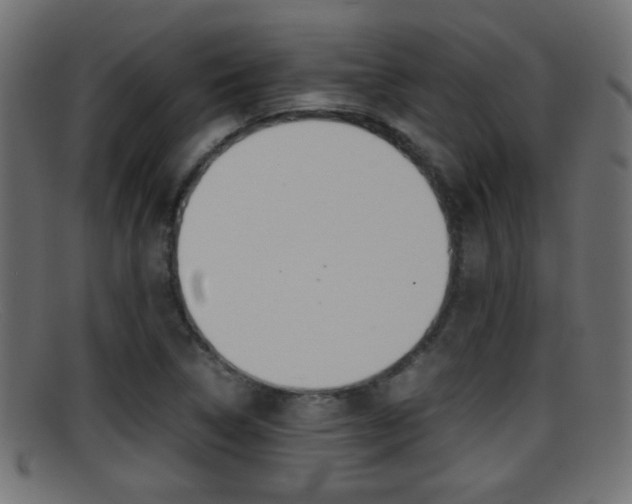 X0000095691314200801081030