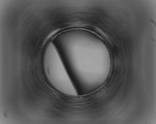 X0000095691315200801081030