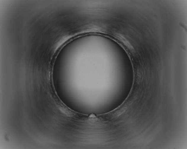 X0000095691316200801081030