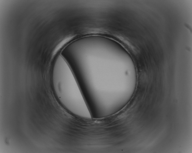 X0000095691317200801081030