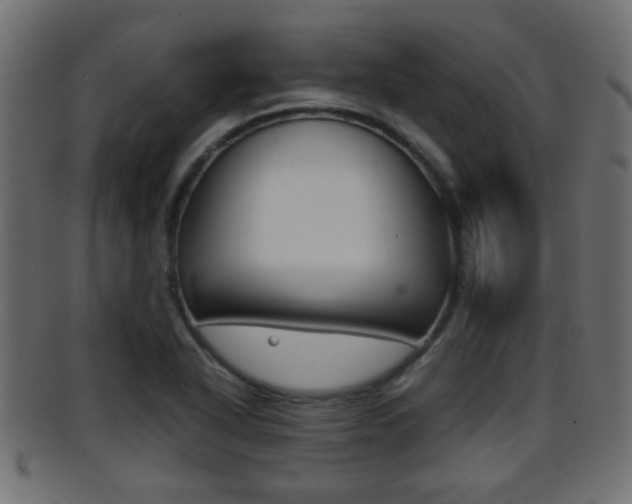 X0000095691318200801081030