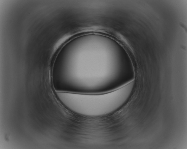 X0000095691320200801081030