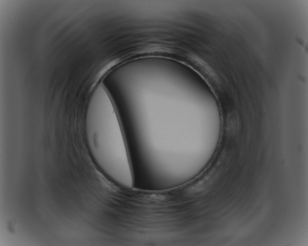 X0000095691321200801081030