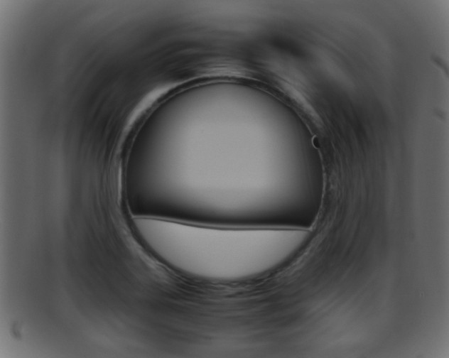 X0000095691323200801081030