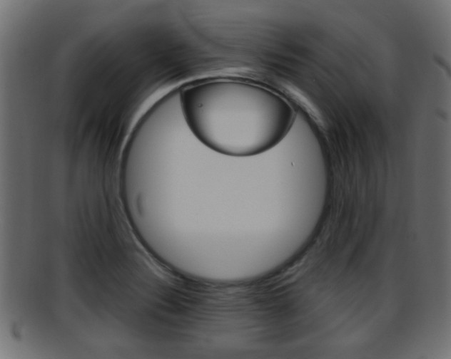 X0000095691324200801081030