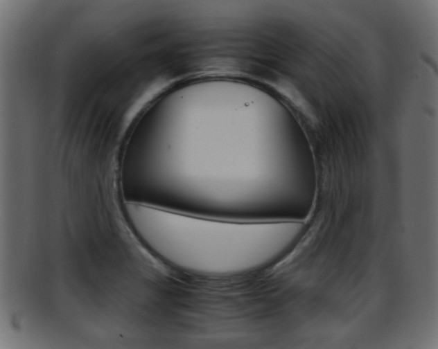 X0000095691325200801081030