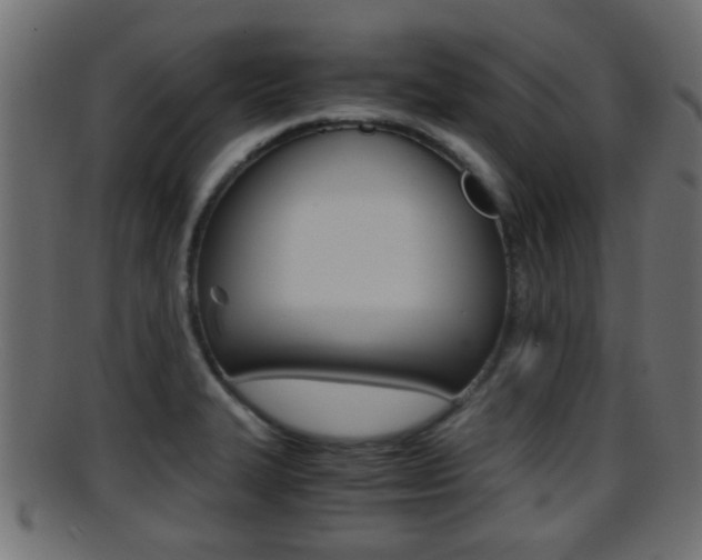 X0000095691327200801081030