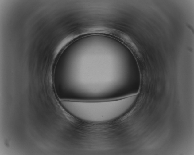 X0000095691328200801081030