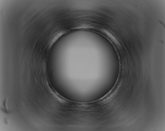 X0000095691329200801081030