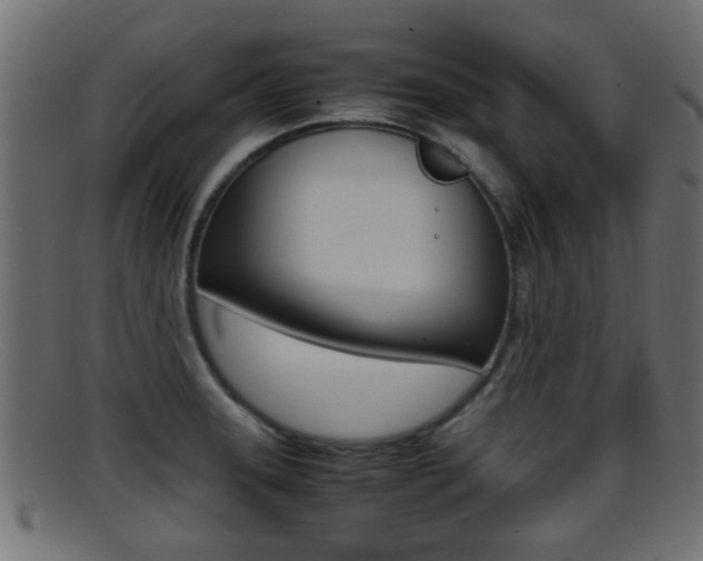 X0000095691331200801081030