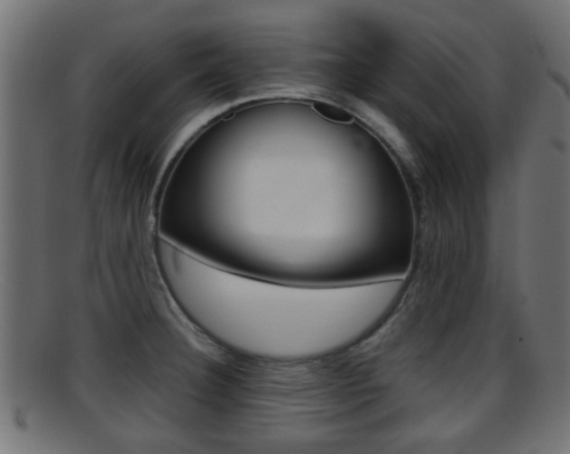X0000095691332200801081030