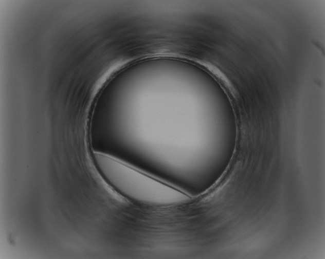 X0000095691333200801081030