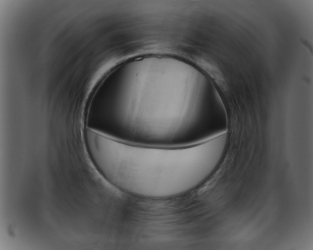 X0000095691334200801081030