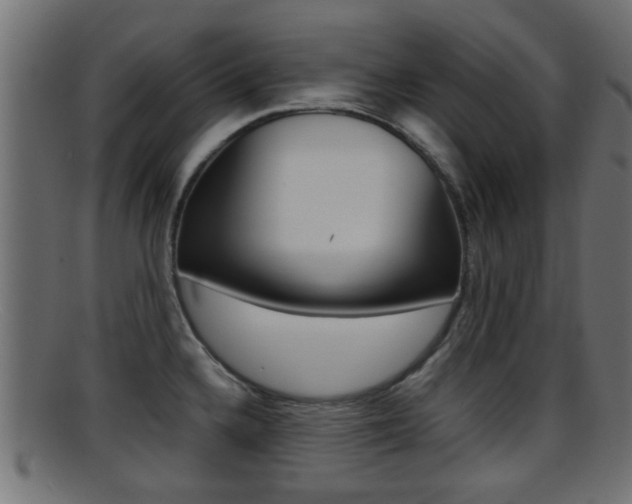 X0000095691336200801081030