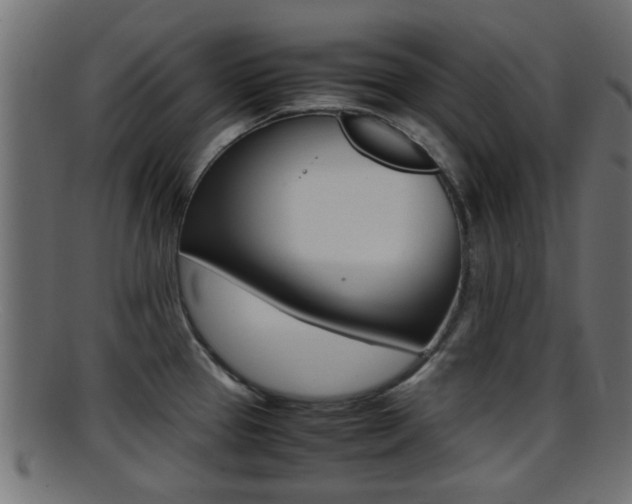 X0000095691337200801081030