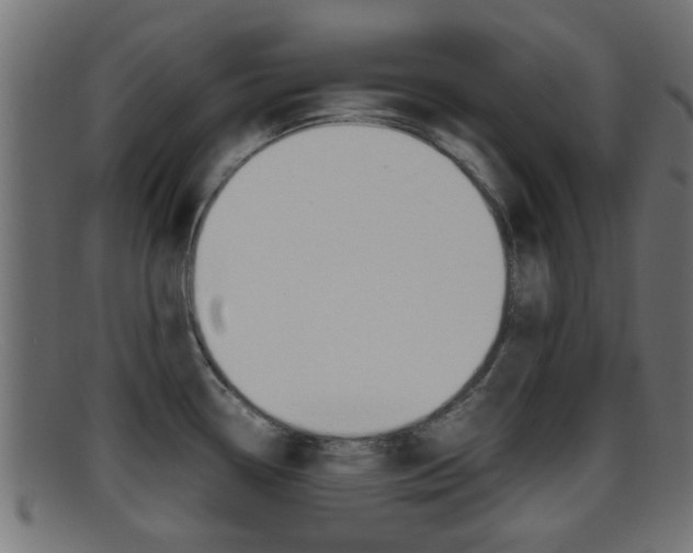 X0000095691338200801081030