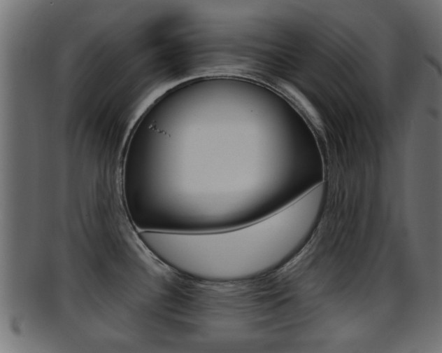 X0000095691340200801081030