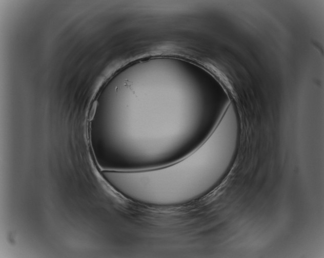 X0000095691342200801081030