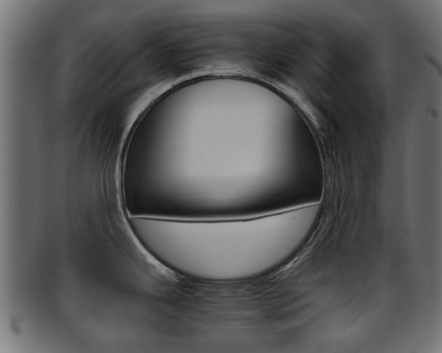X0000095691343200801081030