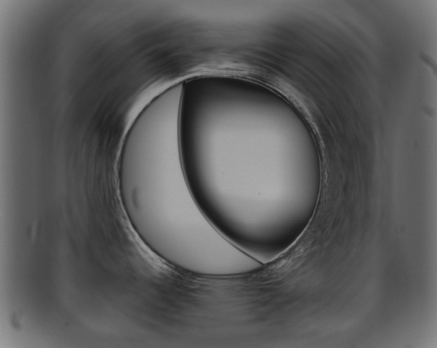X0000095691344200801081030