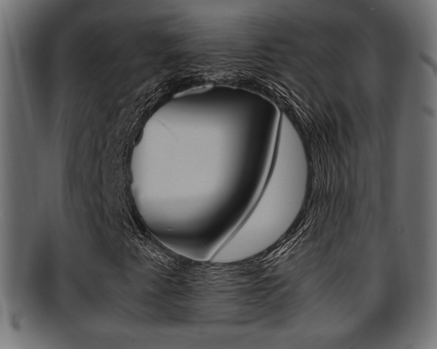 X0000095691345200801081030