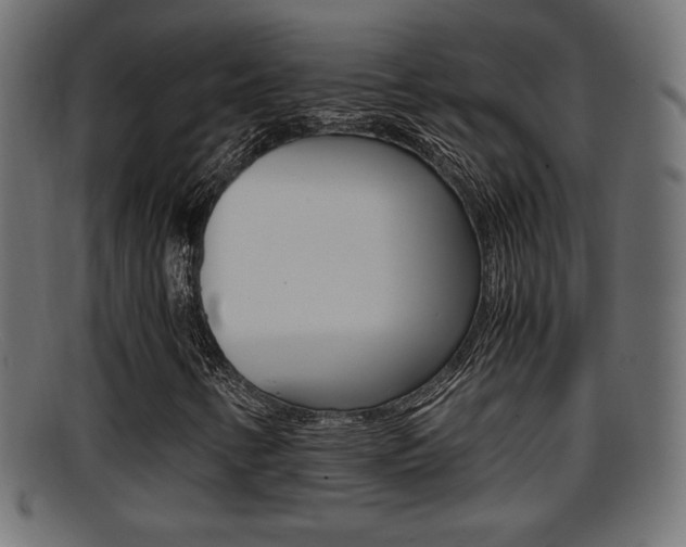 X0000095691346200801081030