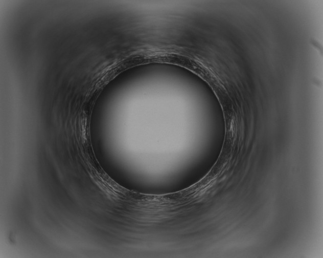 X0000095691348200801081030