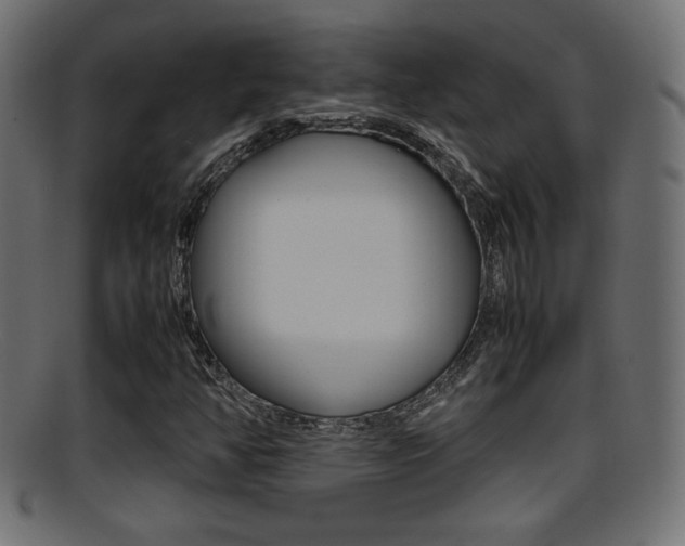 X0000095691350200801081030