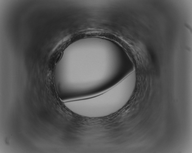 X0000095691351200801081030