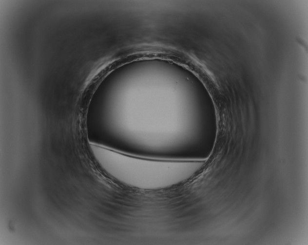 X0000095691352200801081030