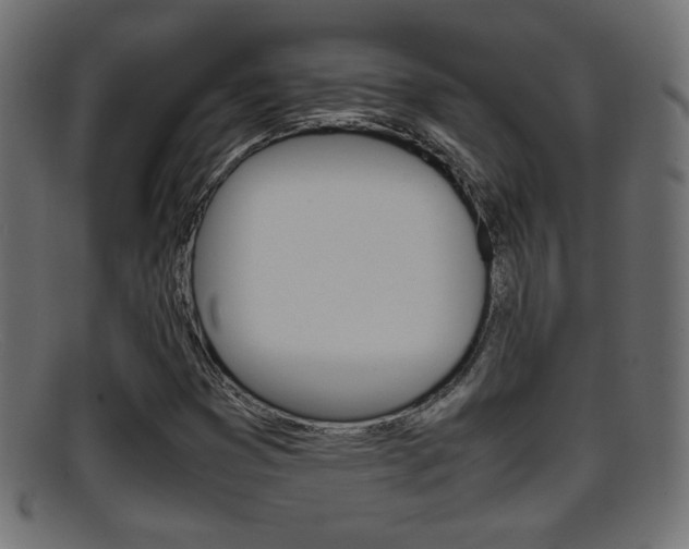 X0000095691353200801081030
