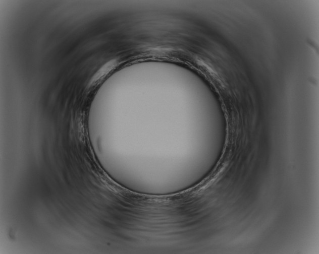 X0000095691354200801081030