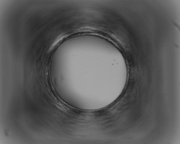 X0000095691355200801081030
