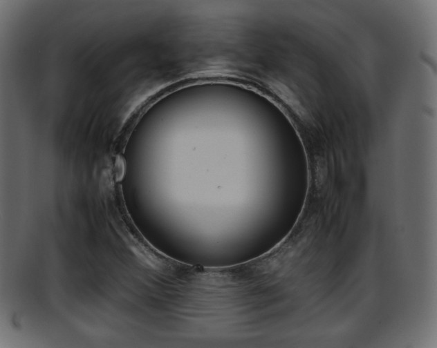 X0000095691356200801081030