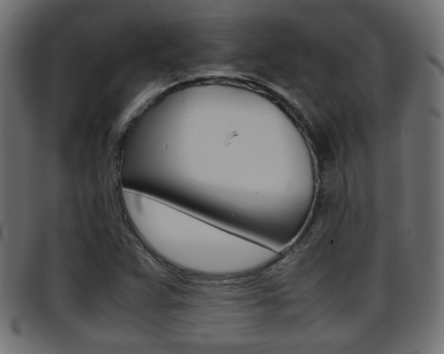 X0000095691359200801081030